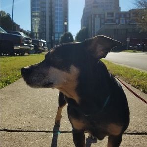 Meet your Posher, Jillian